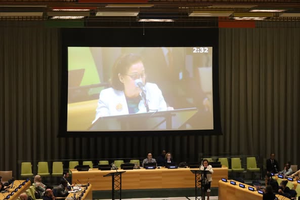 Her Excellency President Dr. Hilda C. Heine Participates in High-Level Meeting on Sea-Level Rise at the United Nations